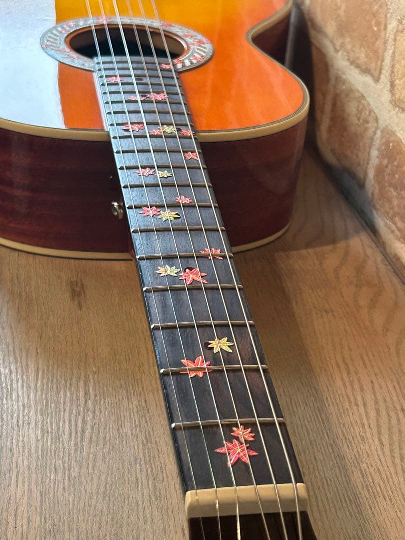 HEADWAYエレクトリックアコースティックギター