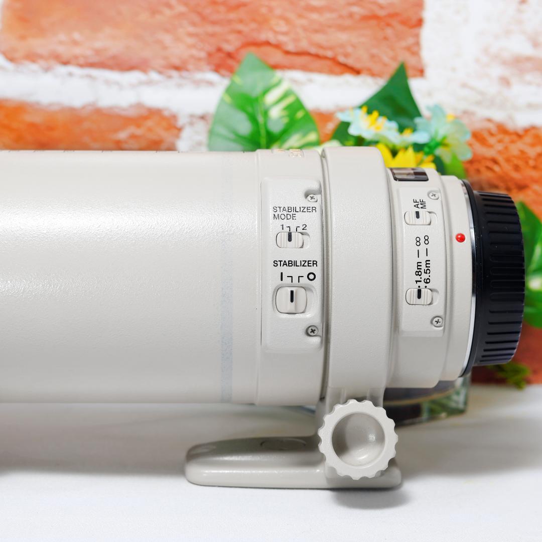 超望遠 Canon EF 100-400mm F4.5-5.6 L IS USM