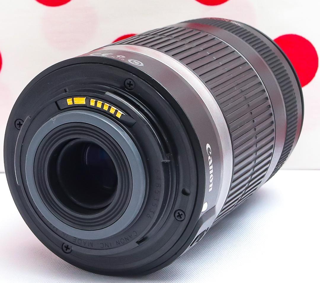 Canon EF-S 55-250mm IS f4-5.6❤手振れ補正付！❤