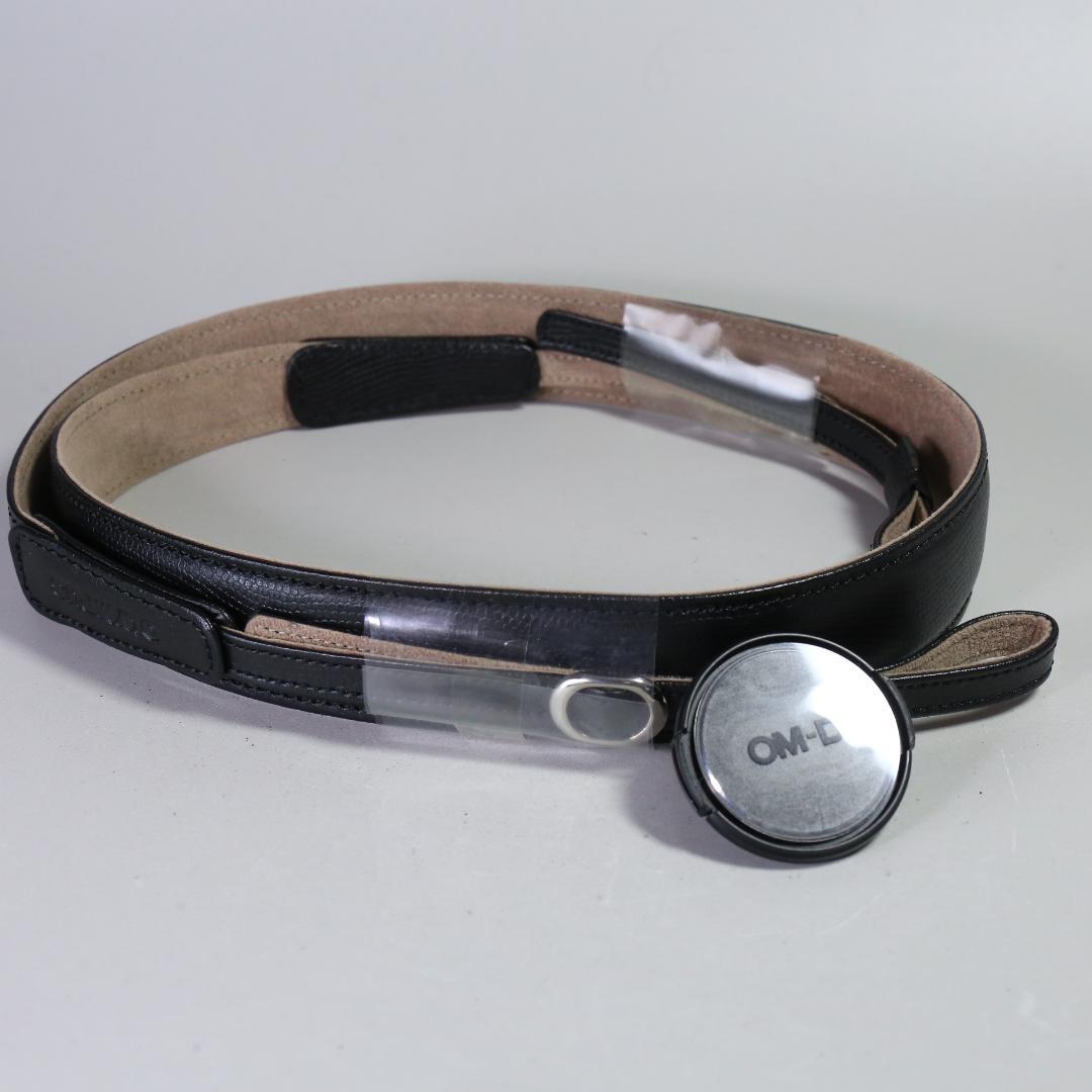 ☆特別限定モデル☆新品級 OLYMPUS OM-D E-M10 ＃355