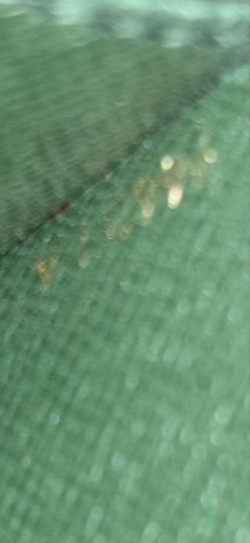 極美品 LOUIS VUITTON ルイヴィトン M30074 鍵付き エピセア