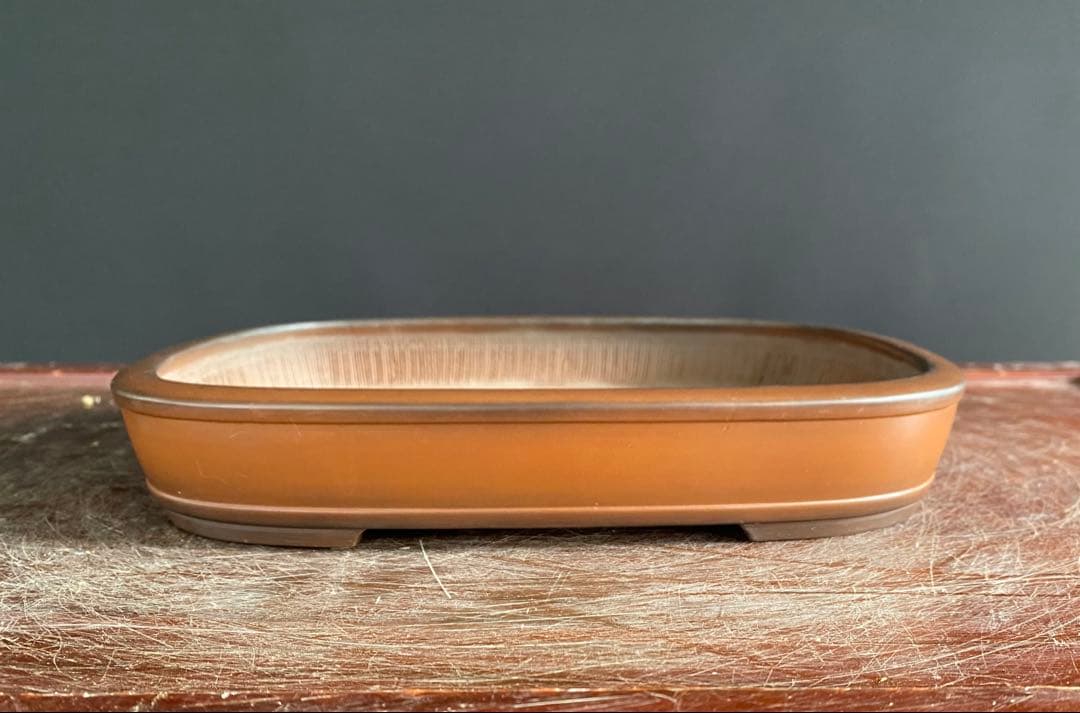 白木盆栽園　峰輝堂　盆栽鉢　横24.3センチ　鉢和鉢盆栽趣味陶器盆器植木鉢