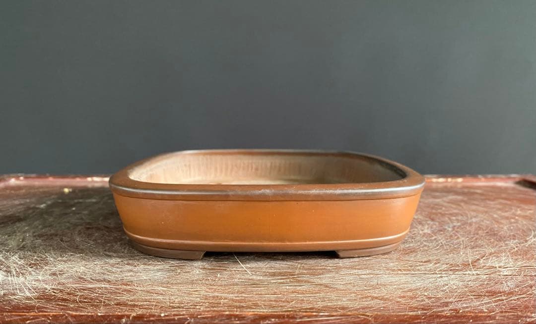 白木盆栽園　峰輝堂　盆栽鉢　横24.3センチ　鉢和鉢盆栽趣味陶器盆器植木鉢