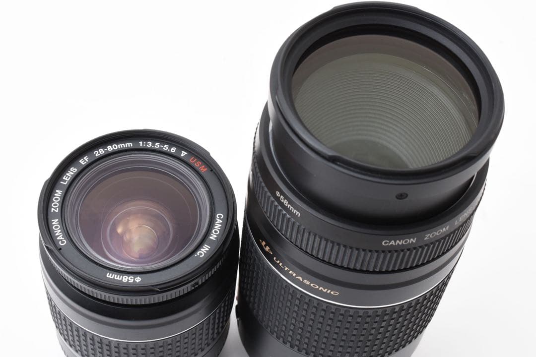 一眼レフカメラ☆Canon EOS 5D Mark IV標準&望遠レンズセット