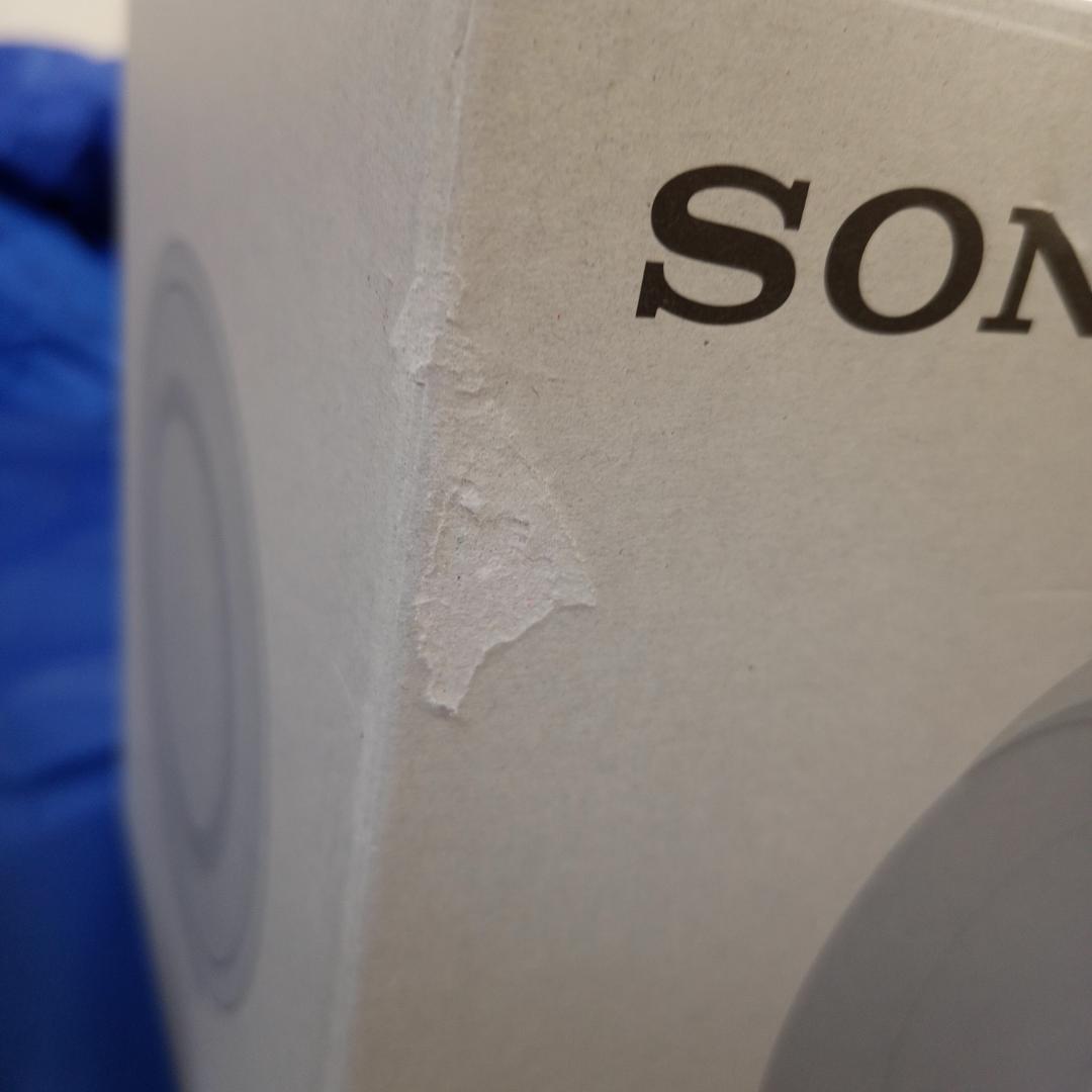 ソニー SRS-XG300 HC ライトグレー ワイヤレススピーカー 二台組