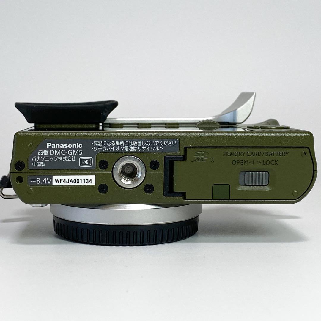 【美品】Lumix GM5 緑 Body / COTTA製サムレスト等 他付属