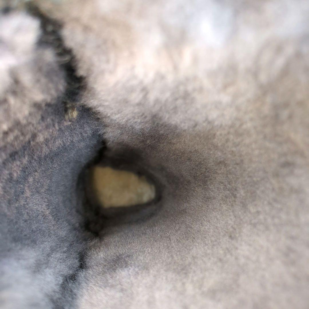 美品　MOU ムー　エスキモーブーツ　ムートンブーツ　ロングブーツ　37