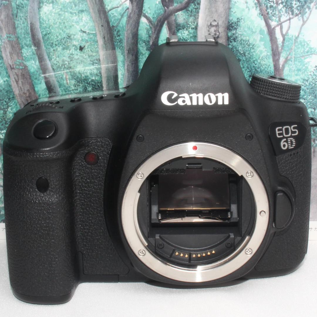 ☆はじめてのフルサイズ☆Canon EOS 6D 超望遠ダブルレンズセット