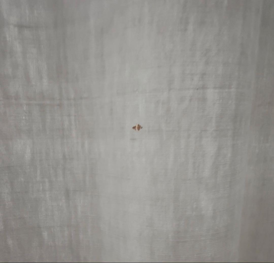 超大判アンティークリネンで仕立てたずっしり重い素敵なカーテン