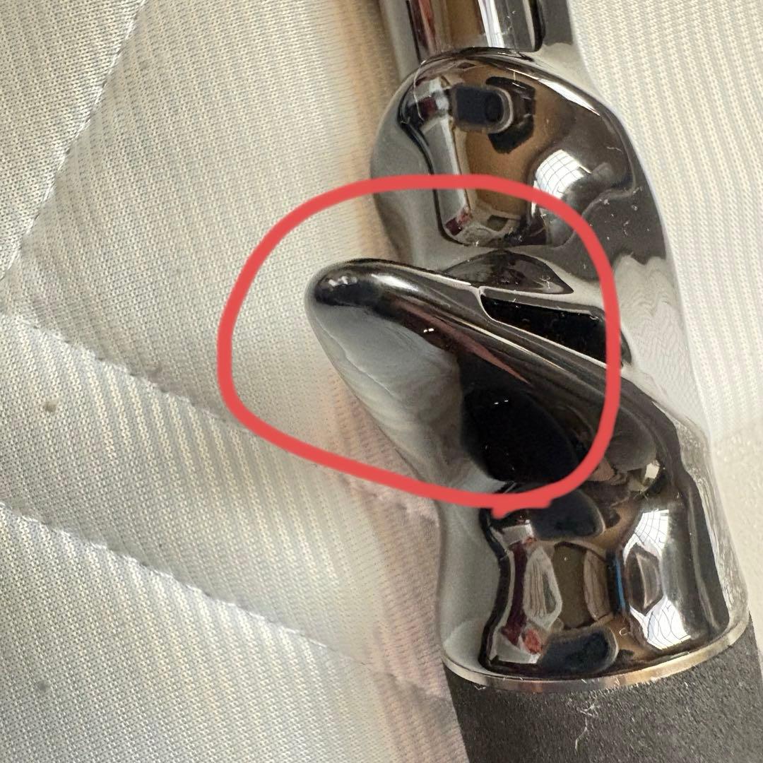 トランスセンデンス　レイトブルーミングス　 (旧型)