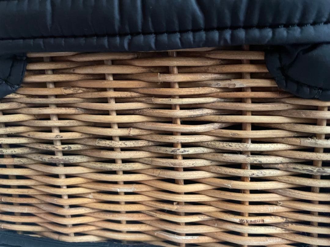 新品 未使用 ebagos 2021AW かごバッグ ブラック