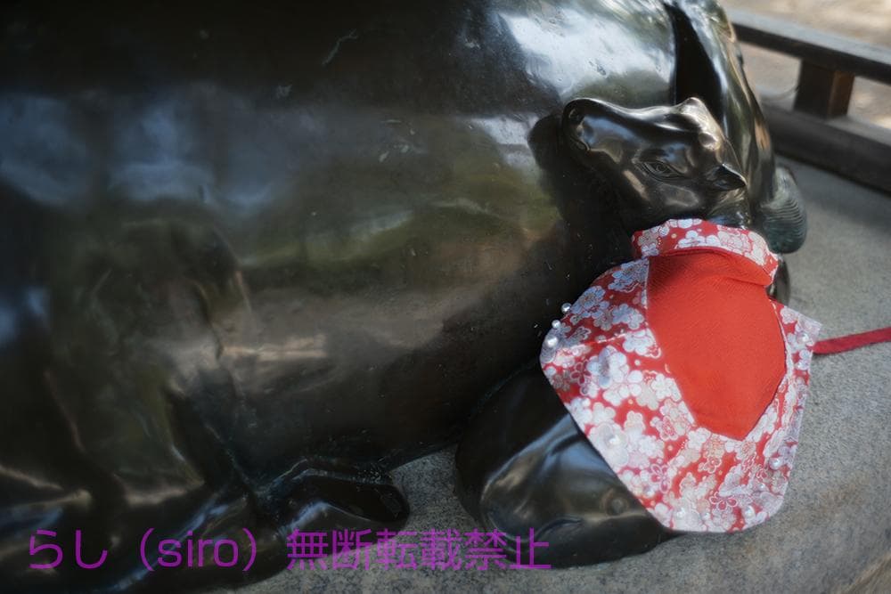 未使用 Artizlab Classic 35mm f1.4 ライカ Mマウント