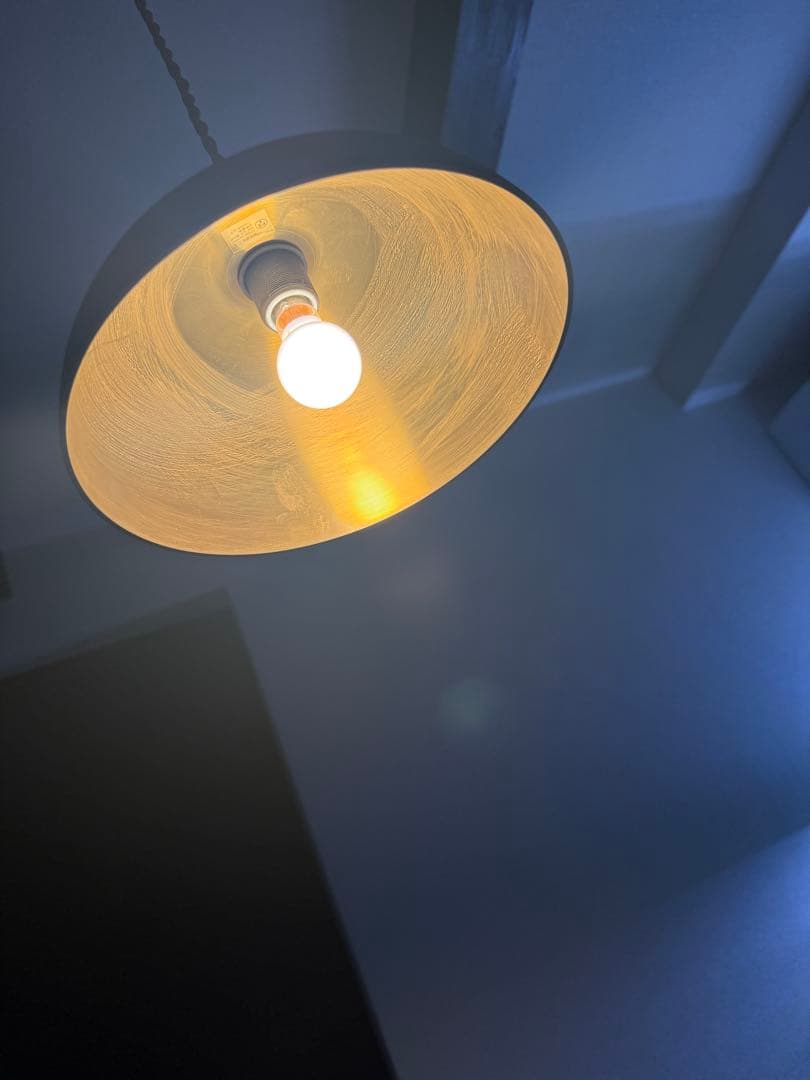 フタガミ / FUTAGAMI ペンダントランプ 半球