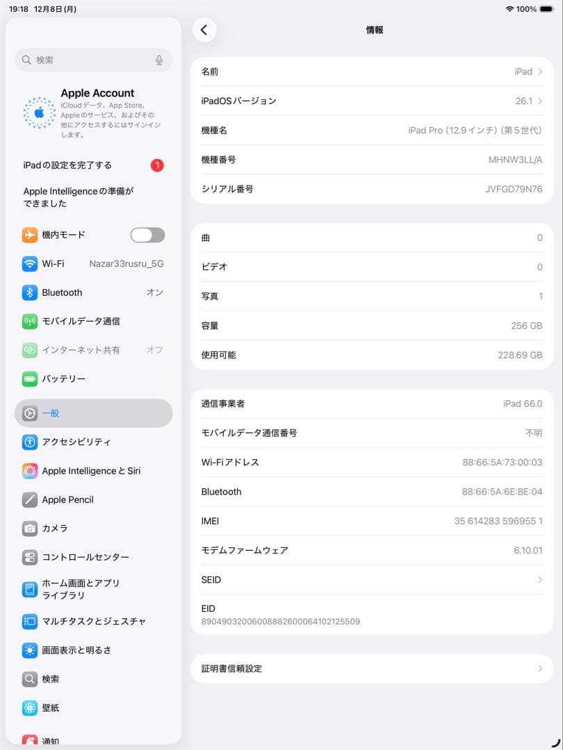 iPad Pro (第5世代) 12.9インチSHIBAINUさん専用