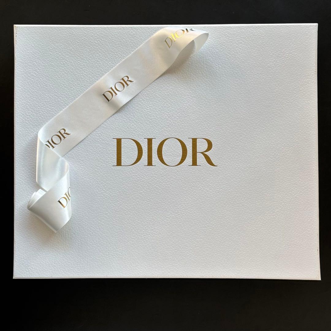 ディオール　メゾン　リリー ディオール　ディナープレート　すずらん　2枚セット