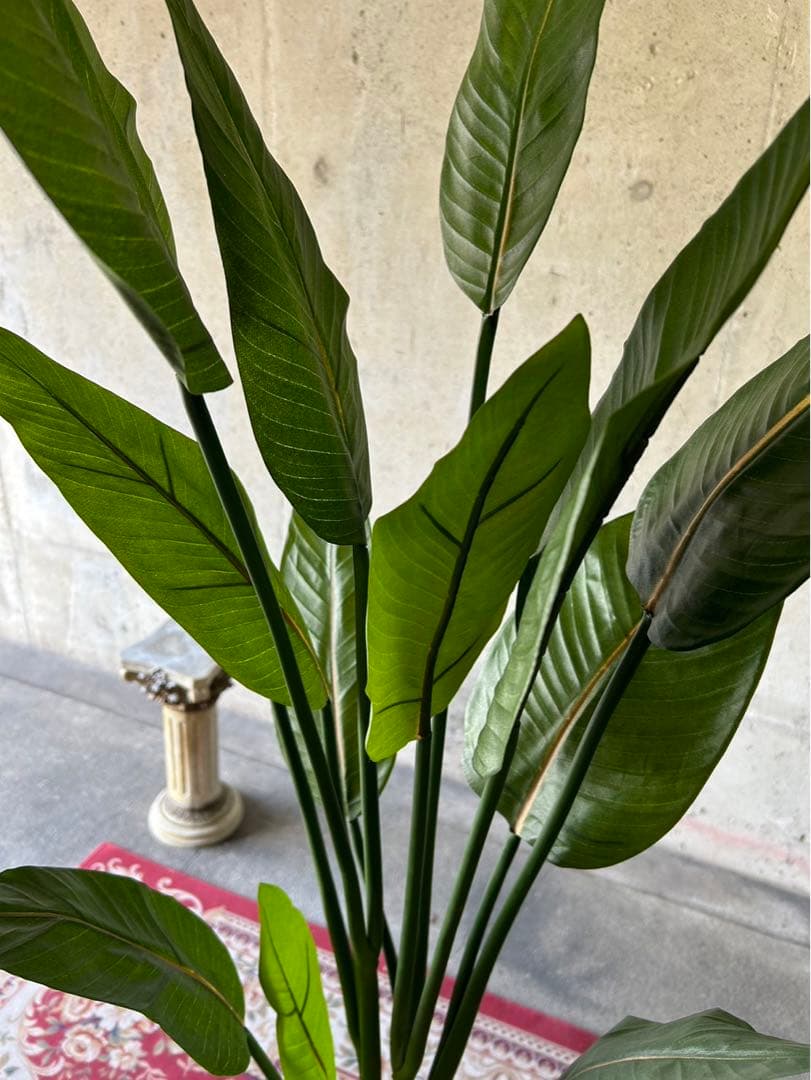 光触媒　人工観葉植物　オーガスタ　フェイクグリーン　ストレッチア155aj