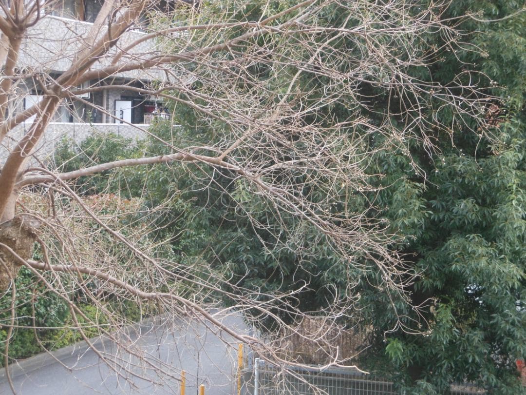 〓訳あり品〓Nikon ニコン COOLPIX S6200 コンパクトカメラ