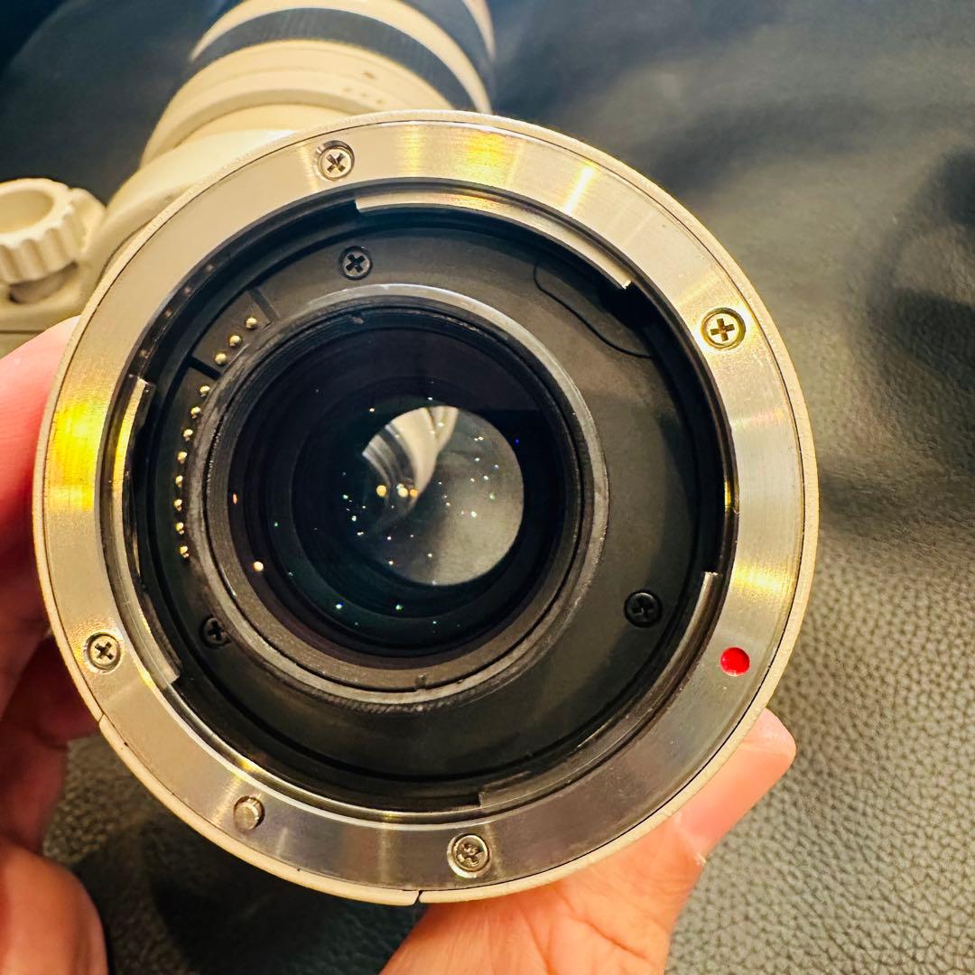 ⭐️美品USED Canon EF 35-350mm ズームレンズ⭐️エクステンダー