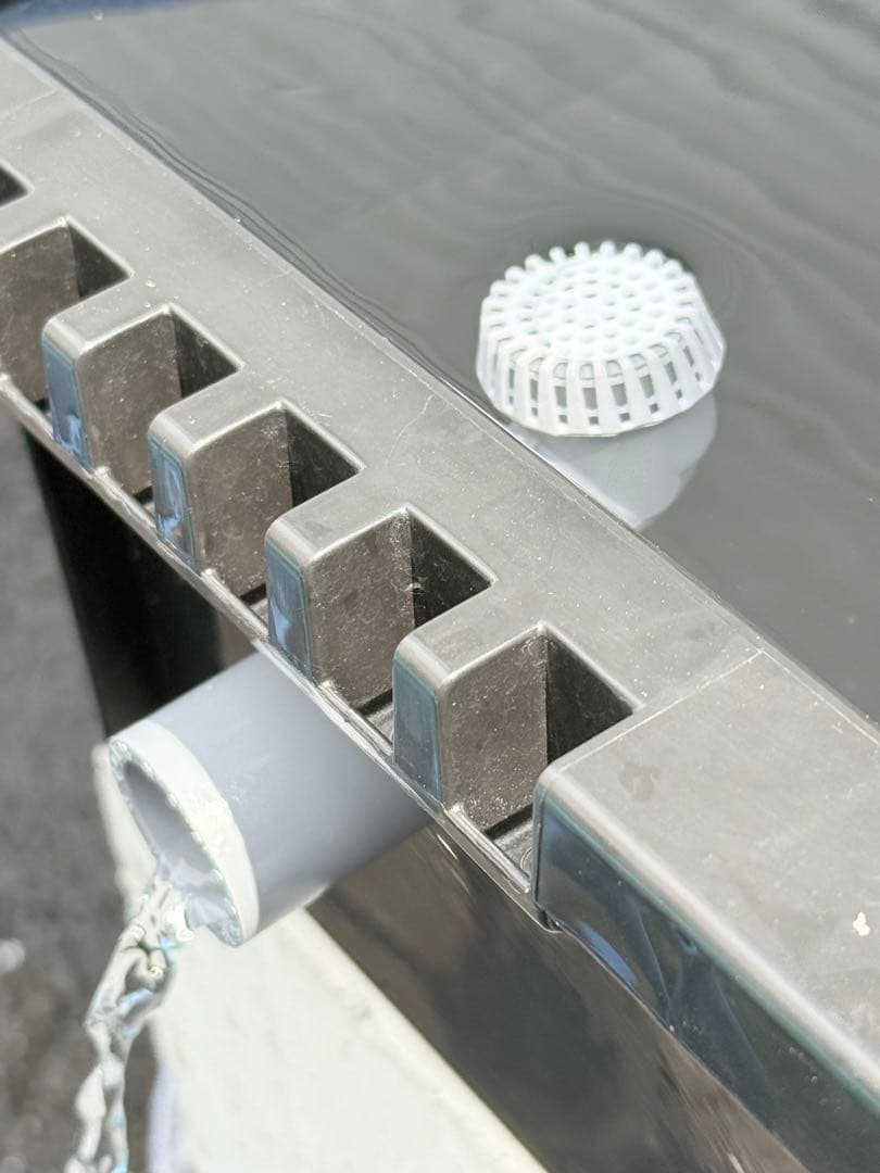 ★お買い得★NVBOX13 オーバーフロー容器 5個セットメダカ飼育 めだか