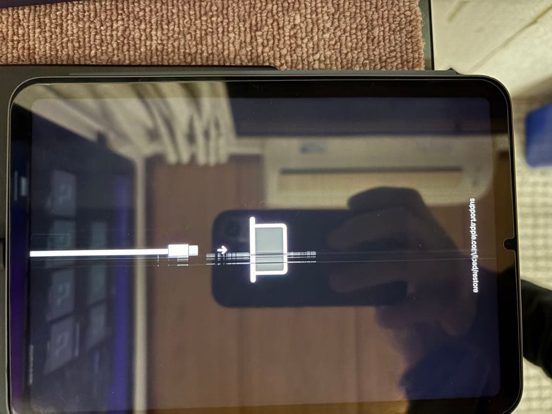 Apple iPad mini6 本体 スペースグレー　ジャンク品