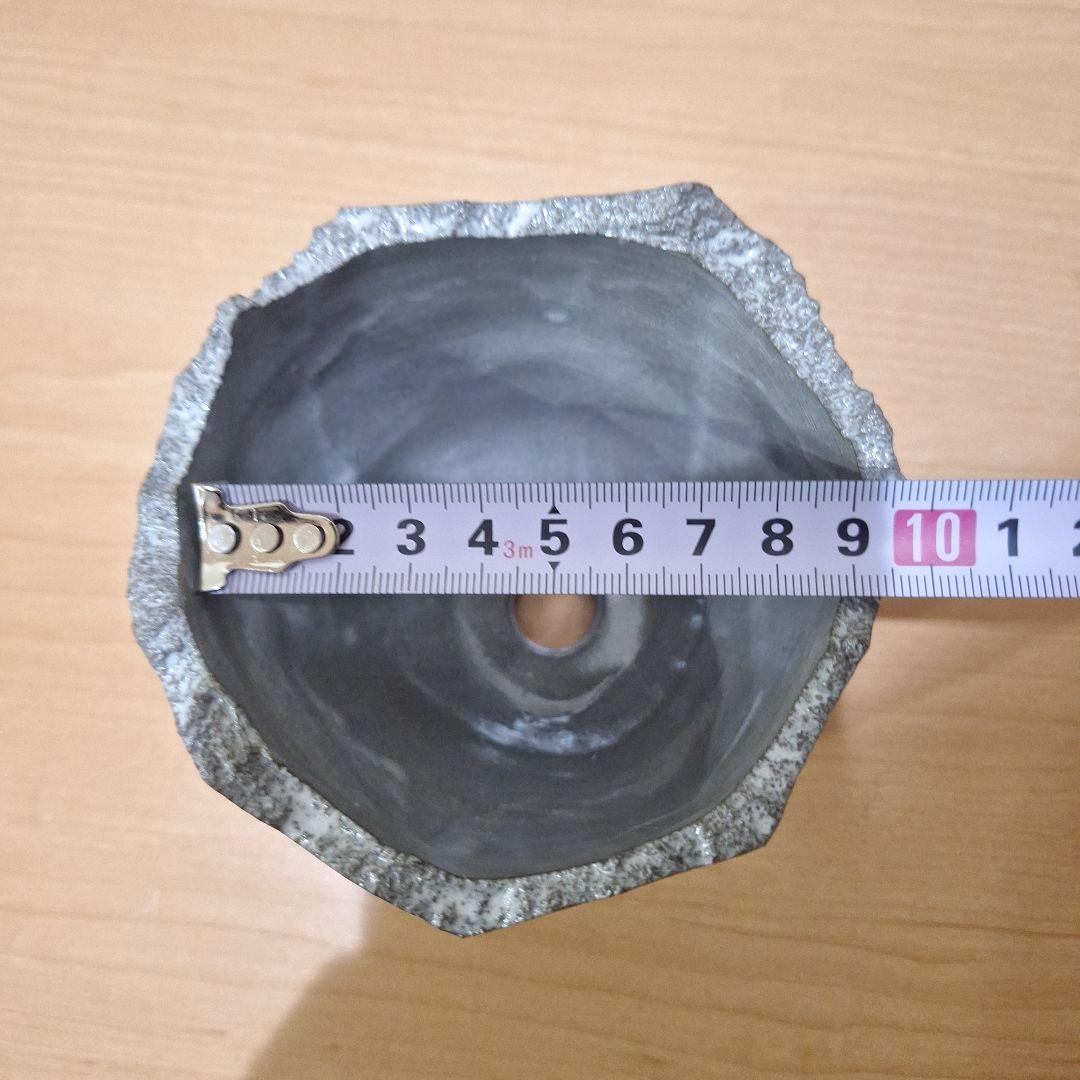 N/OH×BOTANIZE⭐澪標⭐ノウ×ボタナイズ鉢グラキリスパキプスオベサ