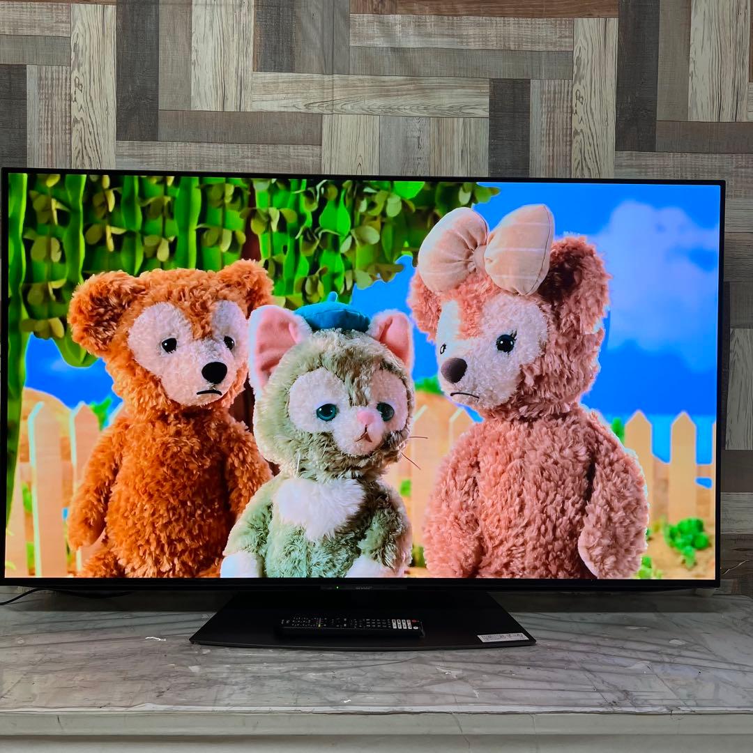 全国送料込❣️未使用アウトレット品シャープ55型有機ELAndroidテレビ
