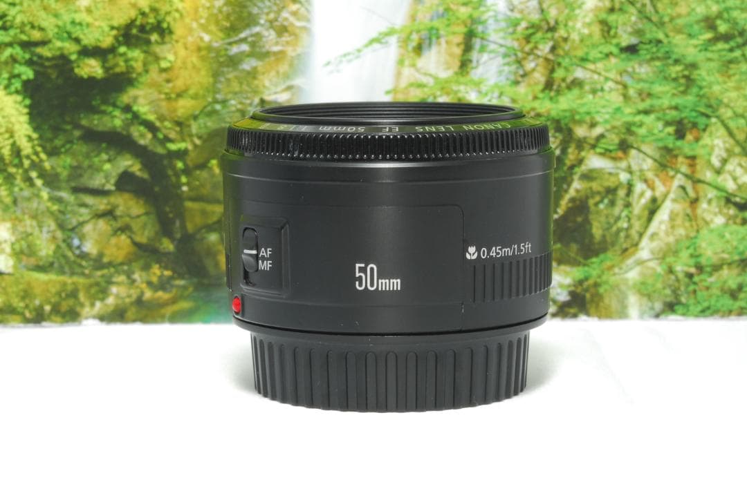 ✨Canon EF 50㎜✨単焦点レンズ✨1本はもっておきたい✨ボケみを堪能