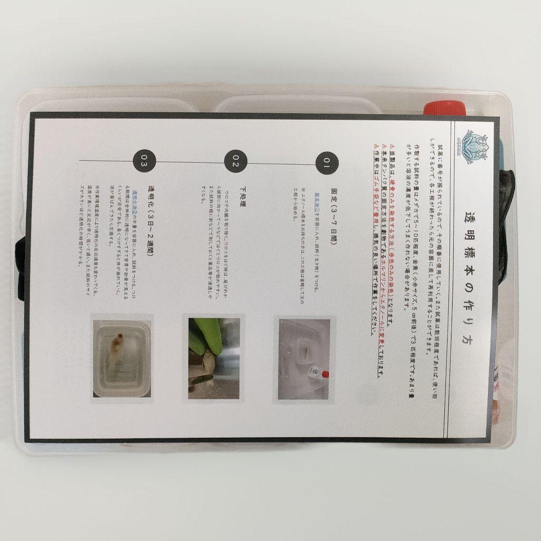 オリジナル商品【透明標本作製キット】(上級) 20点　自由研究 学習教材 改良版