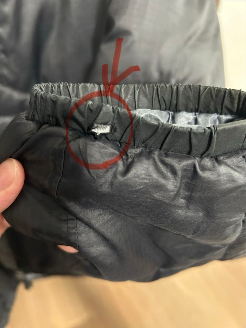 Patagonia（パタゴニア）フード付き ダウンジャケット メンズ Lサイズ