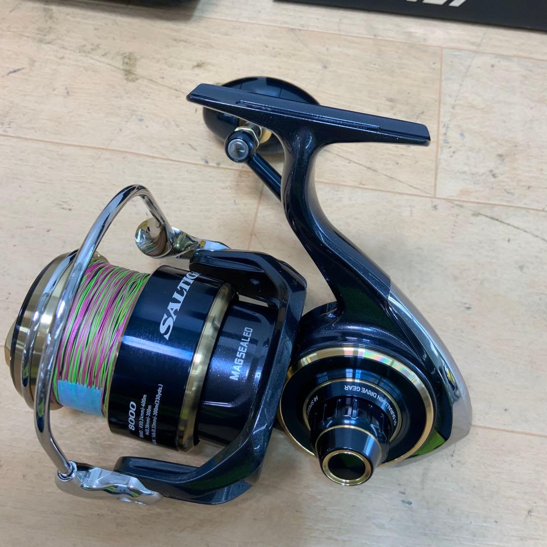 ダイワ　20SALTIGA（ソルティガ）　8000-H