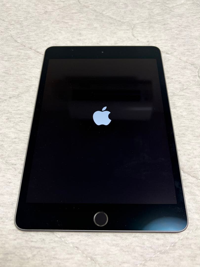 iPad mini Wi-Fiモデル 第5世代 スペースグレー 64GB