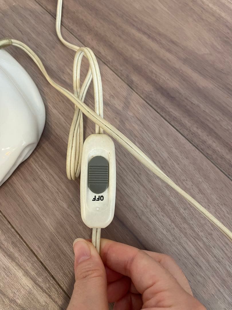 ヴィンテージ 不思議の国のアリス アリス&ダイナ ルームランプ