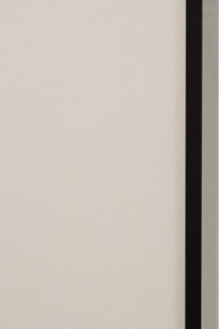 LUMIX S 24-105mm F4ズームレンズ S-R24105