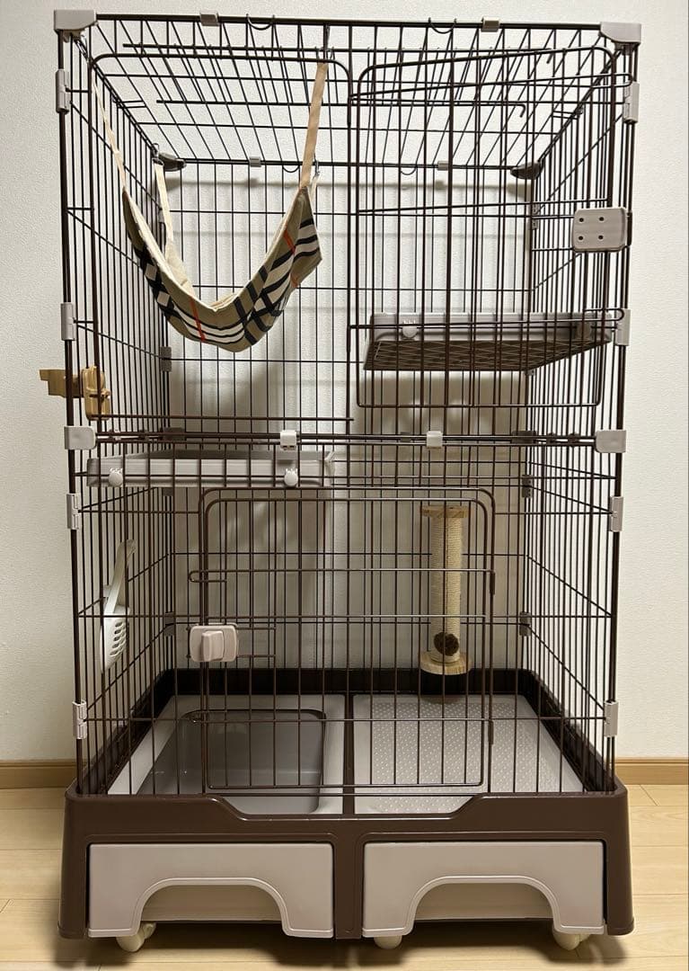 はち