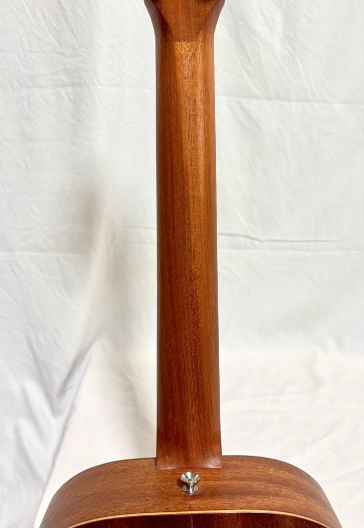 【新品弦張替済】Taylor アコギ Baby Taylor BT2