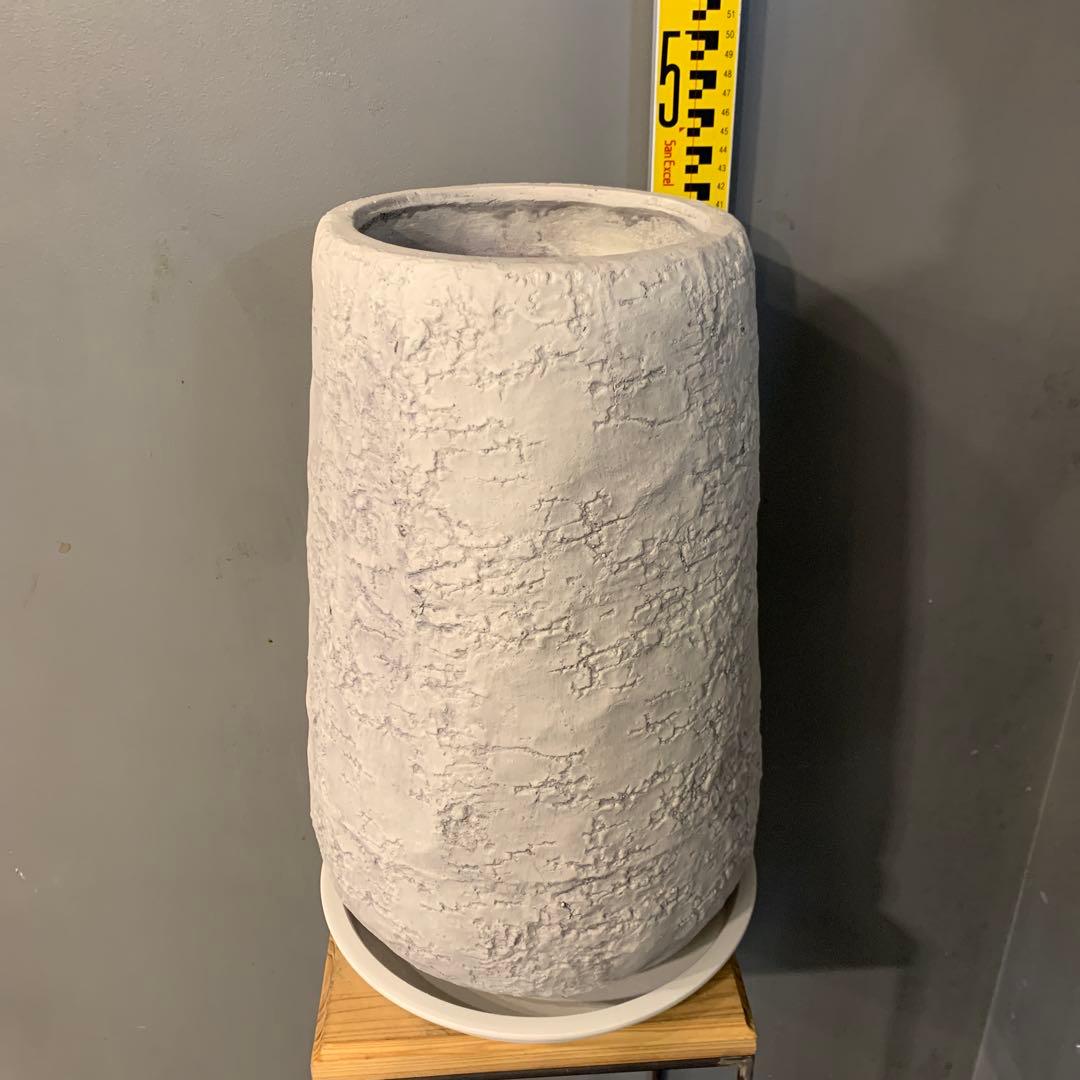 専用　鉢変更（12枚目）ストレリチア レギネ ファイバー鉢 お皿付き