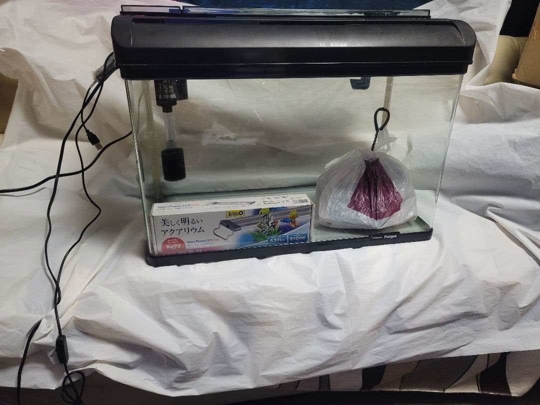 KOTOBUKI Progre 曲げガラス水槽60