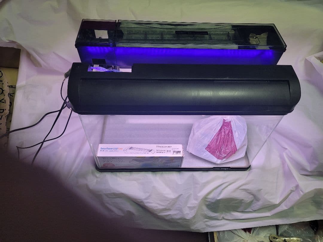 KOTOBUKI Progre 曲げガラス水槽60