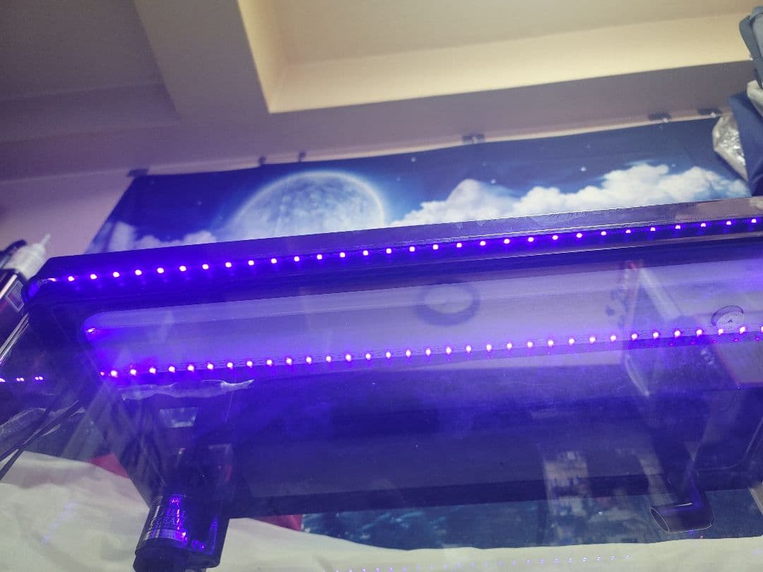 KOTOBUKI Progre 曲げガラス水槽60