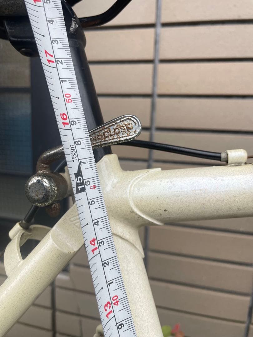 アラヤ　マディフォックス