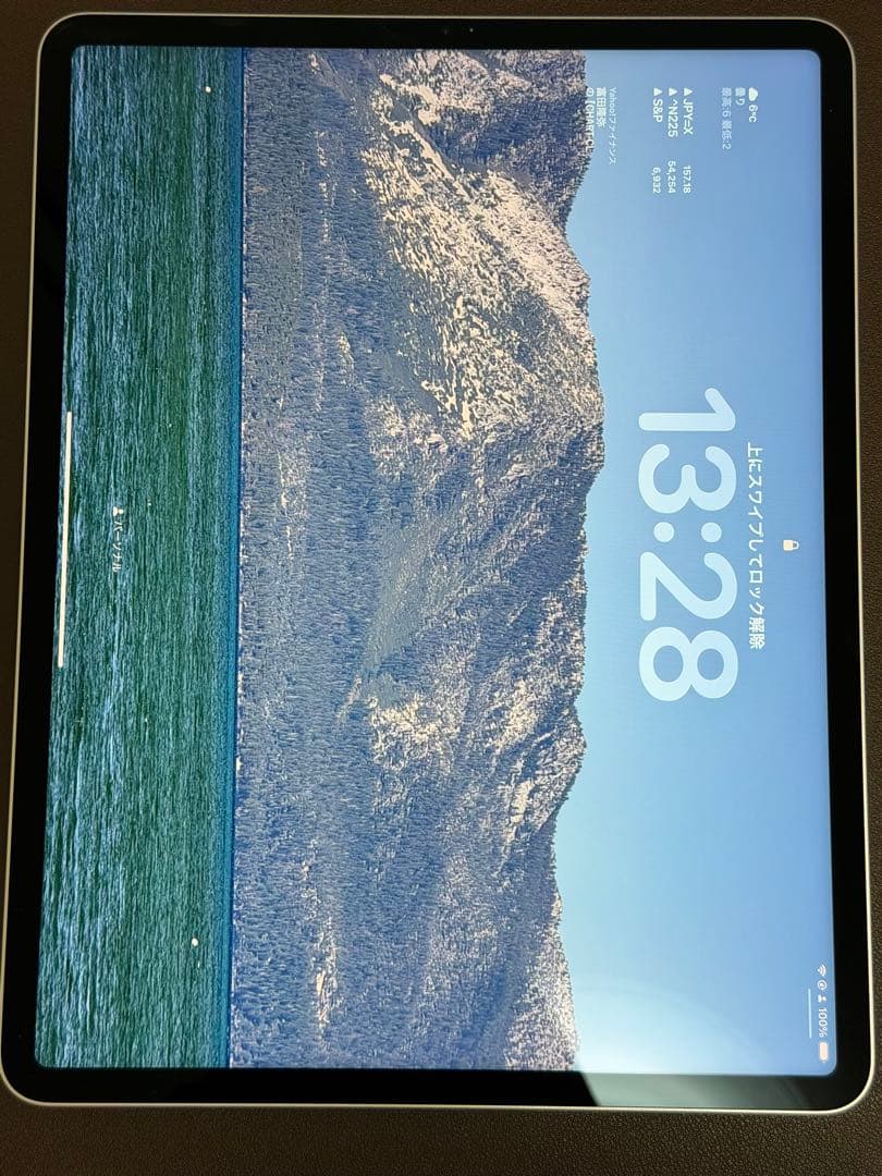 Apple iPad Pro 12.9インチ 第5世代 256GB