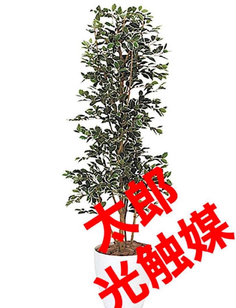 光触媒　人工観葉植物　フェイクグリーン　ガジュマルタワー170@ad