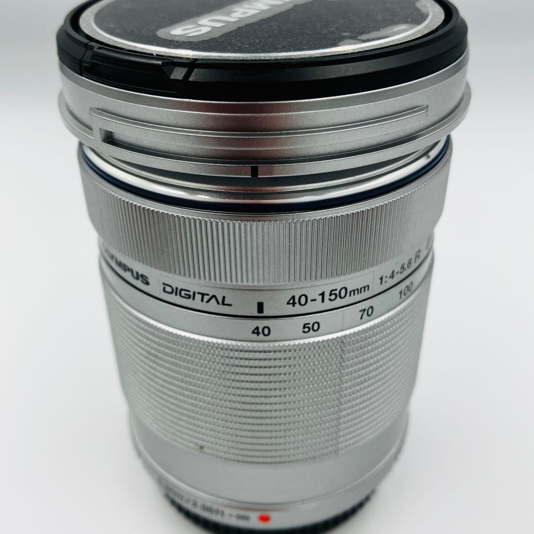 ヤマピー　OLYMPUS E-PL6 ダブルレンズ ミラーレス