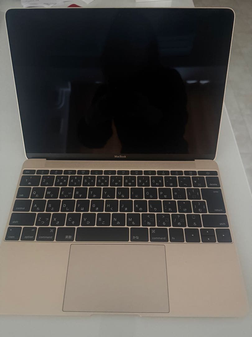 MacBook12インチA1534ローズゴールド256GB 美品　箱あり充電器付