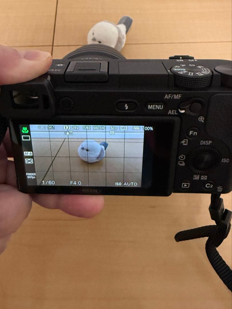 SONY α6300ミラーレス一眼カメラ　レンズ3個　その他 ショット数3733