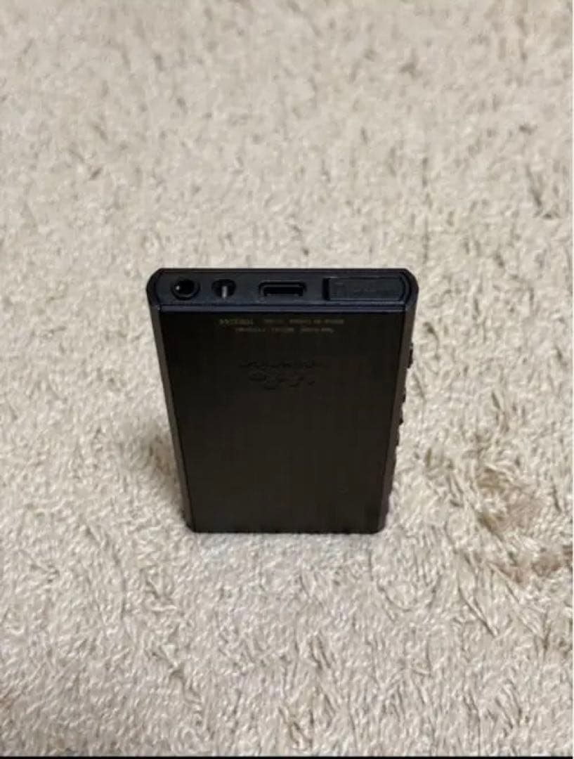 SONY WALKMAN NW-A306 32GB ケース+128GB SD付き