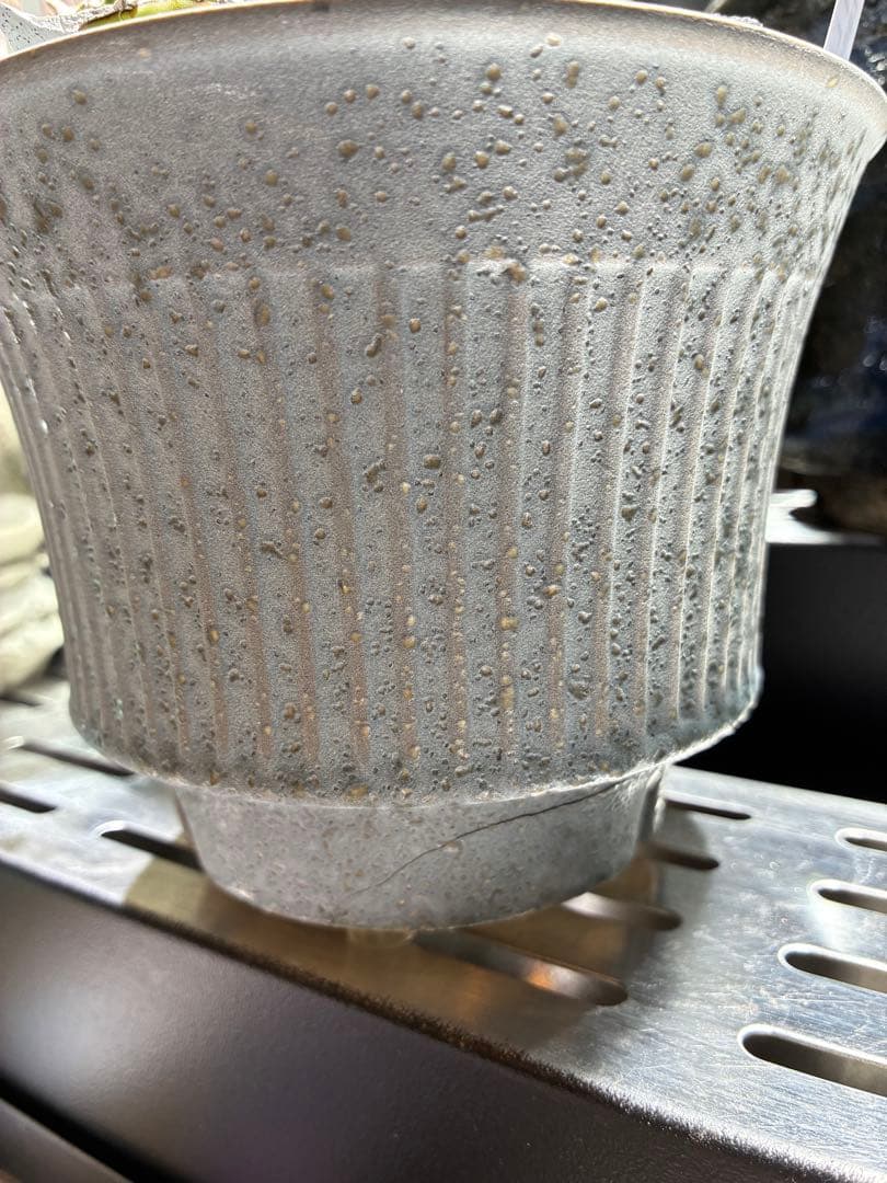 鉢付き　極上SAD 強鋸歯　南アフリカダイヤモンド　タグ付き