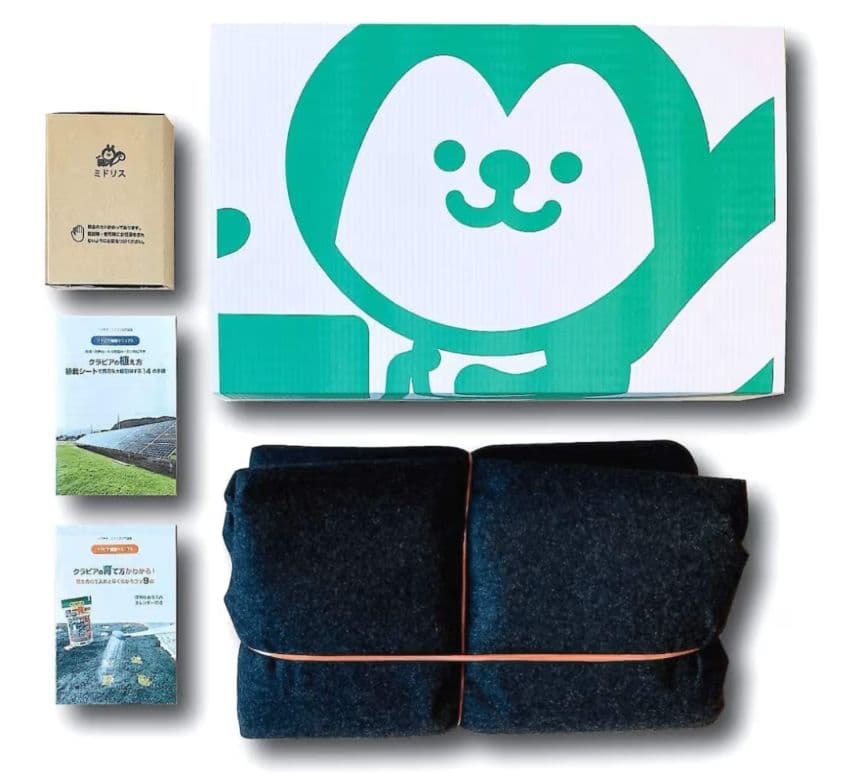 ミドリス　すくすくシートセット