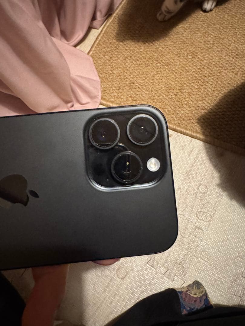 海外版iPhone 16 Pro Max 512GB,美品,バッテリーは100％