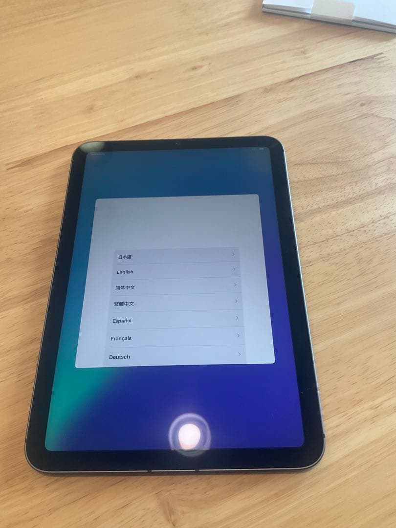 iPad本体 ipad mini6 256GB Cellular apple care